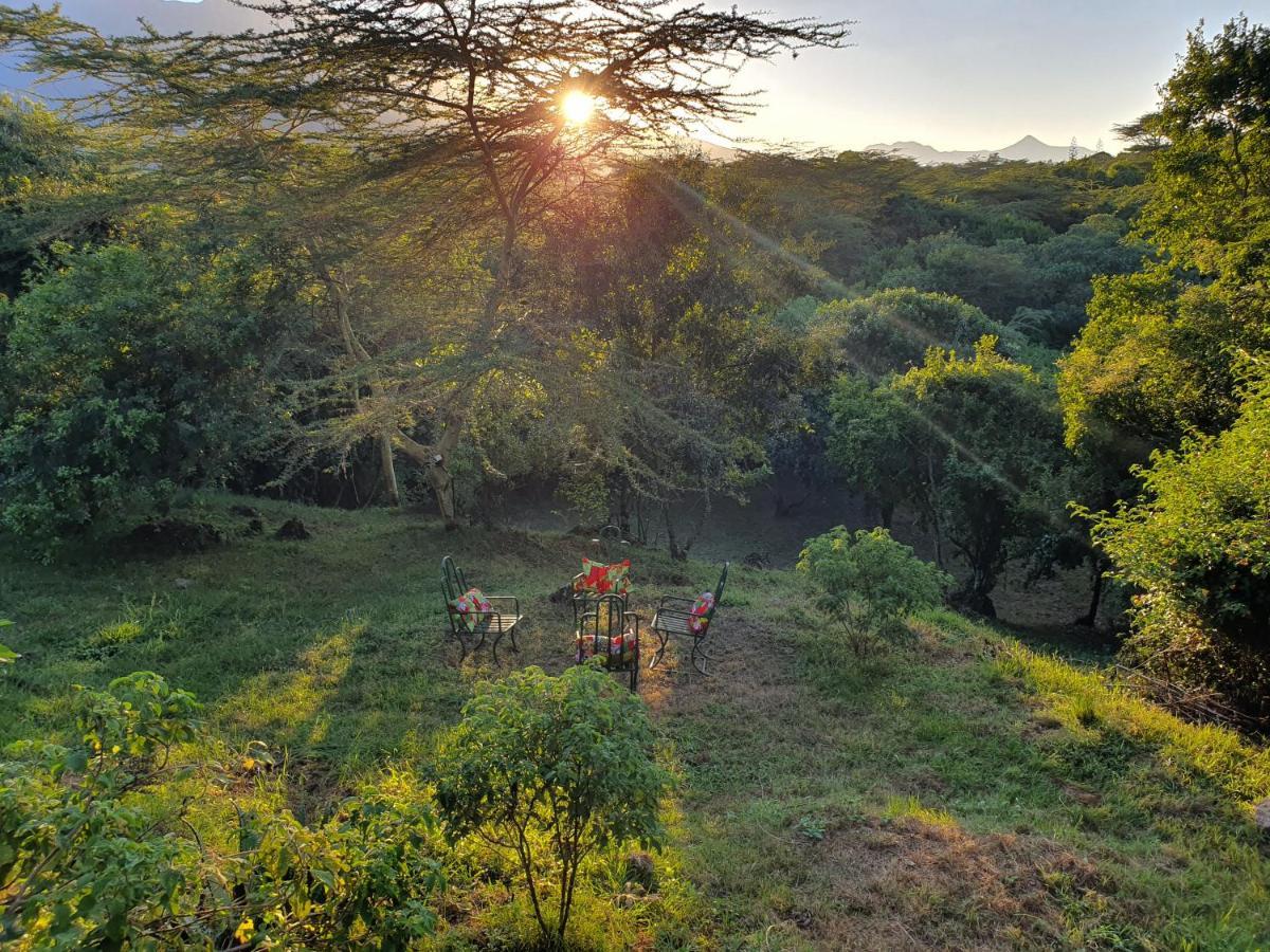 Hillside Retreat - Africa Amini Life Villa Usa River Luaran gambar