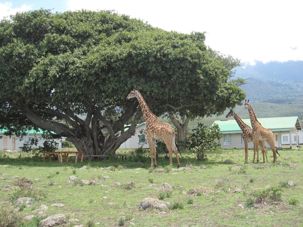 Hillside Retreat - Africa Amini Life Villa Usa River Luaran gambar