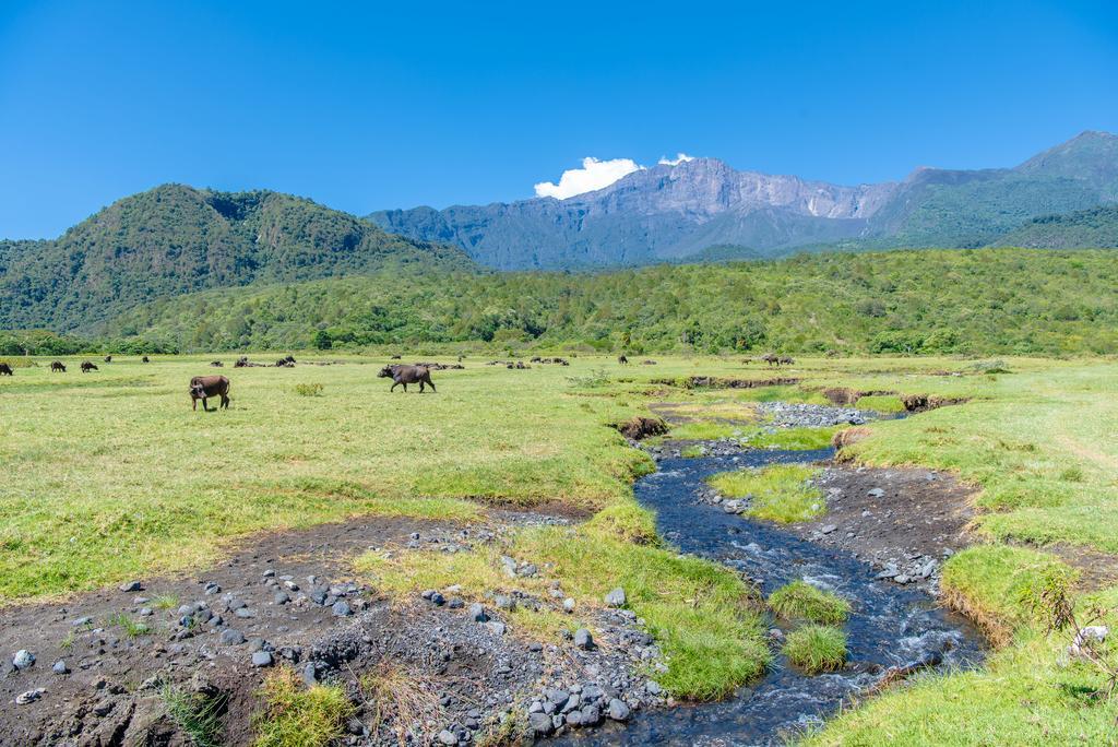 Hillside Retreat - Africa Amini Life Villa Usa River Luaran gambar