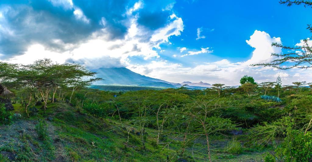 Hillside Retreat - Africa Amini Life Villa Usa River Luaran gambar